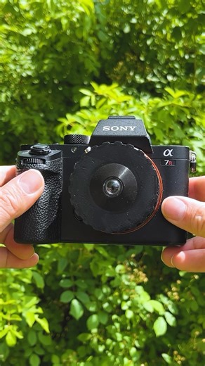 Did you know that you can turn a @dispolens into a macro lens? Just add a Fotodiox Macro Extension Tube between the lens and camera to increase the lens’s minimum focus distance. Link in bio to learn more. - - #macro #macrotube #macroextensiontube #fotodiox #fotodioxpro #fotodioxmacrotube #macrophotography #insectphotography #macroinsectphotography #nature #naturephotography #macrolens #flowerphotography #flower #manuallens #dispolens #disposablelens #disposablecameralens #sony #sonya7rii #bokeh