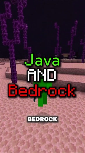 How to raigebait shulkers