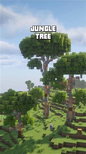 Building a Custom Jungle Tree in Minecraft 🌴