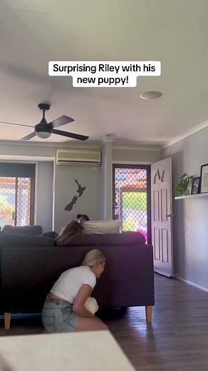 #newpuppy #surprise #earlybirthdaygift #cavoodlepuppy