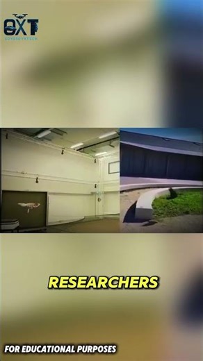 Can a Drone Take Off Like a Bird? #documentary #usashorts #fyp #techexplained