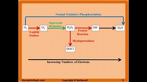 Superoxiddismutase: Verwendungen, Nebenwirkungen, Wechselwirkungen, Dosierung und Warnhinweise - Vitamine - Nahrungsergänzungsmittel 2026