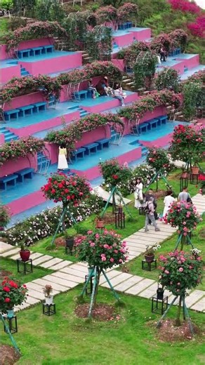 重慶永川佔地500畝的玫瑰花海開花了，品種多達500多種，10萬多珠。 #玫瑰#春暖花開#永川#重慶