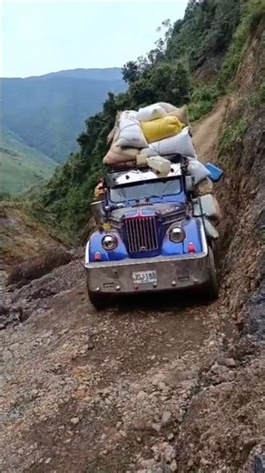 Espectacular carpati cargado de café en el municipio de Caicedo Antioquia, tremenda máquina #campo