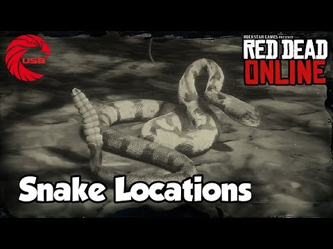 Snake Locations rdr2 Online - Red Dead Online Snakes Location Guide