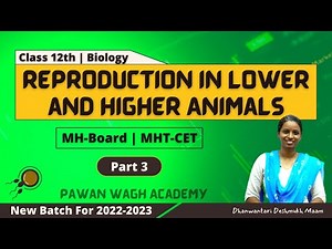 Reproduction in Lower and Higher Animals | Class 12th Biology | Part 3