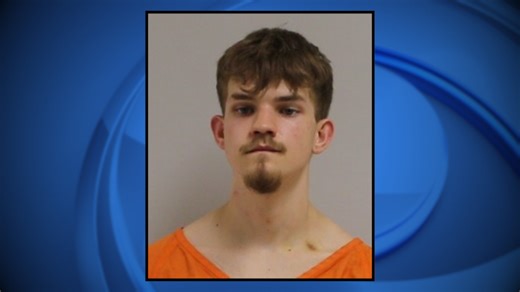 Wisconsin man arrested on several charges after gun and knife found at disturbance