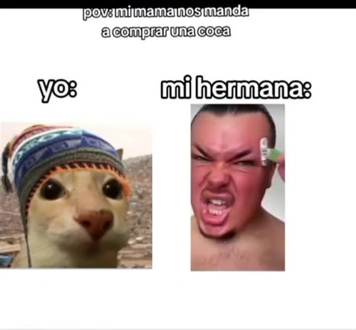 Diversión con Hermanos y Situaciones Random