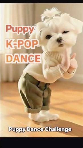 강아지 댄스 (ILLIT) Puppy K-pop Dance #강아지댄스 #puppydance
