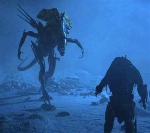 Alien vs. Predator Galaxy - Facebook Community | Best Scene - Queen Alien vs Scar Predator ❤️📷 | Facebook