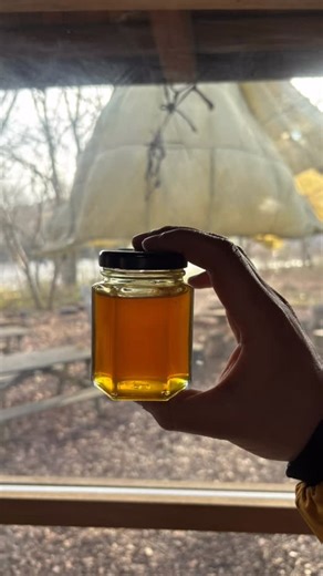 IN THE MIX - Useful Productions on Instagram: "This week was mainly about honey. From receiving, testing and selling sidr honey, to spending an afternoon with the Bee Connection visiting hives, tasting and comparing honey from Mexico, Zambia, Poland. This week was a hard week for some of our team 💔 so a little bit of Pooh Bear Wisdom thrown in. #honey #rawhoney #winterharvest #sidr #migration"