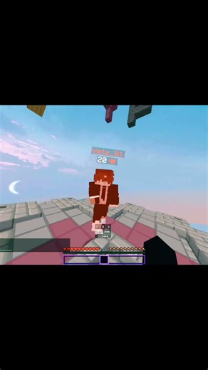 #minecraft #java #sumo