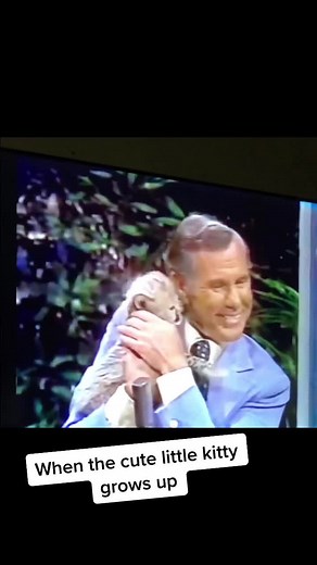 #johnnycarson #funnyanimals #leopard
