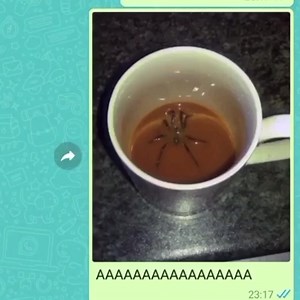 52K views · 2K reactions | Ｍｅｍｅｗａｖｅ on Reels | Facebook