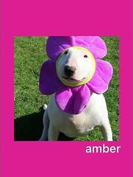 red red wine [SPED UP]