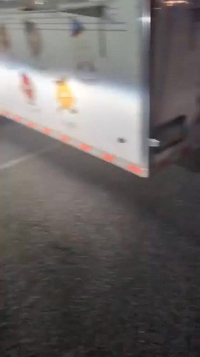 #tractorsupply #thebuck | The Wandering Donut Lancaster | Facebook