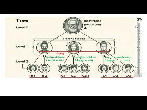 What is arity and other Terminology in Data structure?