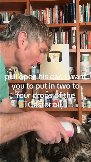 Cat Ear Mites? Simple and inexpensive Home Remedy!