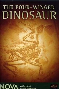 The Four-Winged Dinosaur (2008) - Movie