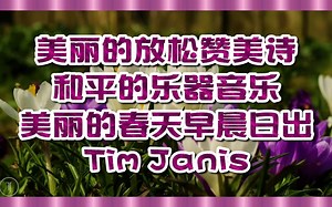 🕊️美丽的放松赞美诗，和平的乐器音乐 «美丽的春天早晨日出» 蒂姆·珍妮斯 (Tim Janis)