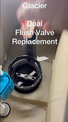 Glacier Bay Toilet Flusher Valve Replacement #toiletrepair #glacierbay #dualflushervalve
