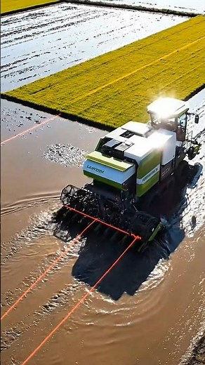 Hybrid Rice Farming Robot | Modern Agriculture Technology | 4K Cinematic