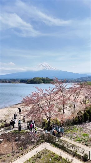 3.7K views · 11 reactions |  Comment FUJI for the link! There are...