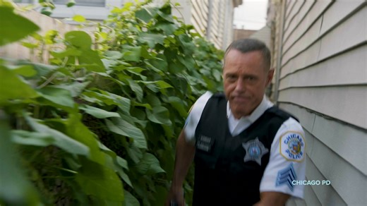 You have the right to be entertained 🚨 Here's what's streaming on Citytv right now. Start your free trial by clicking the link in our bio. | Citytv