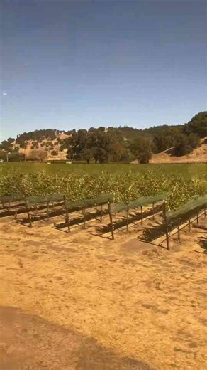 Riding the Wine Train in Napa Valley California