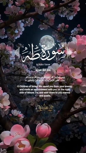 Surah taaha ayat 80-84 #surahtaha #quranictranslation #shorts