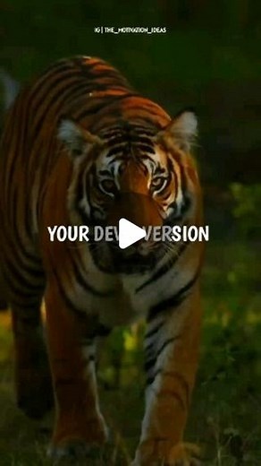 Motivation ideas on Instagram: "👉🏻 Collab me only in ₹500💸💸 Best motivational quotes 🔥 🔥 #determination #instamotivation #motivationmonday #mitivation #lifemotivation #lifestyle #inspirationalquotes #quote #inspire #motivational #success #successquotes #successmindset #succusful #instagood #instagram #inspiration #instadaily #inspirationalquotes #lionmotivation #tigermotivation #beastmotivation"