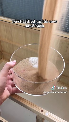 Setting up Hamster Cage with Sand Bath, Coco Fibre, and Hideouts