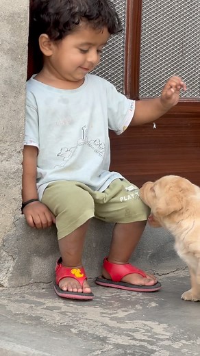 ❤️😘 @gill_labrador_luthera . . . . . . . #lab #labrador #labradoodle #labpuppy #puppylove #puppy #pup #puppies #dogsofinstagram #dog #doglovers #doglife #instagramdogs #insta #trend #trending #viral #gill_labrador_luthera | Gill Labrador Luthera