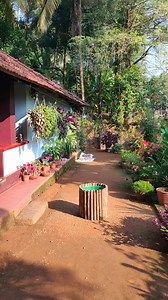 2M views · 10K reactions | Do you like this water lily pond? Beautiful home garden  #gardening #gardeningideas #gardeninspiration | ചെടി വീട് | Facebook