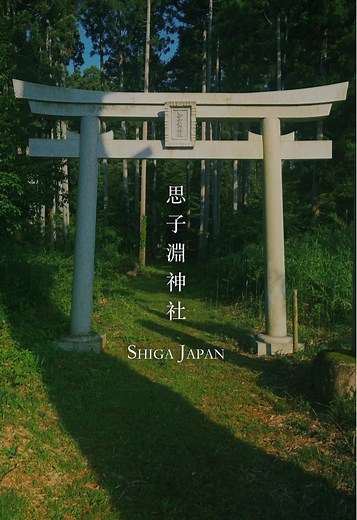 美しい思子淵神社: 迷い込んだ秘密の森