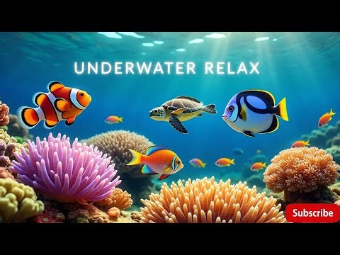 Music Heals the Heart 🌿 11 Hours Deep Ocean Escape | Relaxing Underwater Music 4K UHD