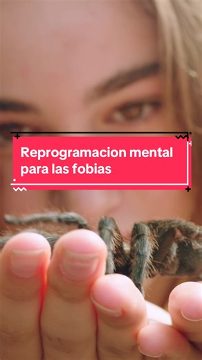 Reprogramación mental para superar fobias con hipnosis