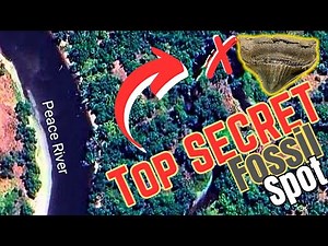 GO HERE to FIND ANCIENT SHARK TEETH!! Secret CREEK Fossil Location REVEALED