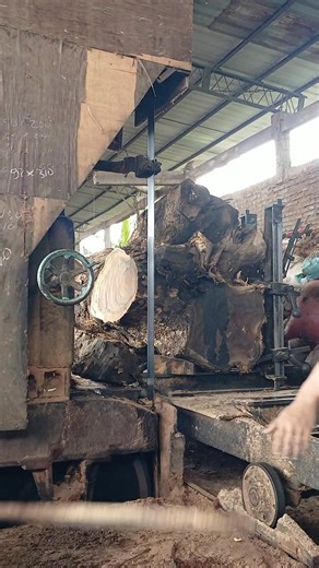 This will be a pretty table top #sawmill #wood #woodworking #woodslabs #furniture #diy #USA #AMERICA #SWEDIA #Germany | Bola Voli Go