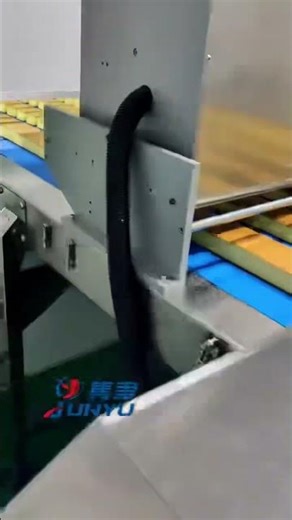 Fully Automatic Sponge/Castella Cake Production Line | JUNYU Machinery #foodprocessing #factory