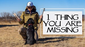 2.5K views · 72 reactions | Solve Dog Training Problems With This 1 Tip Imagine all your dog training problems solved with one tip? In this video, we show you #1 tip for dog training. | Standing Stone Kennels | Facebook