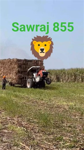 sawraj 855 ki Pawar check Karo #sawraj855 #king