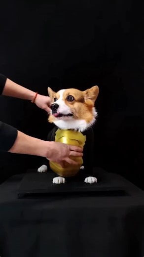 Digimon Adventure Tri Brasil on Instagram