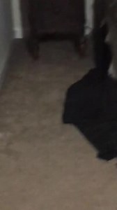 To license this content please click here: https://www.jukinmedia.com/licensing/view/1312797?utm_source=RMsocialpost&utm_medium=RMsocialpost | Jukin Copyright Management | Facebook