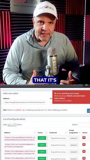 Pi-hole Overkill: When Your Ad Blocker Makes Netflix Call in Sick