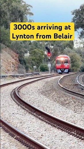 3000 class arrives at Lynton from Belair 🚆 #adelaidemetro #3000class