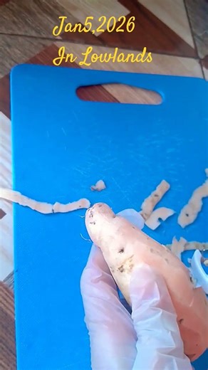 scared first time to try using a peeler finally😁 #shortfeeds#ytshorts#viralvideo #peeler#satisfying