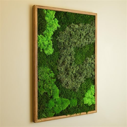 Moss Wall Art Wooden Frame Decor, Natural Green Wall Panel for Home Office, Modern Eco Friendly Design, A Perfect Gift for Valentine's Day. - Etsy Canada