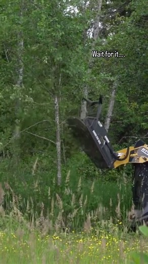 42 reactions | What’s the first thing you’d use this attachment for? (FYI, this attachment is In stock and on sale in our July Summer Sale) #skidsteersolutions #skidsteer #skidsteerattachments #heavymachinery #skidsteerloader #operator #excavator #discmulcher #mulching #mulchingsolutions | Skid Steer Solutions | Facebook