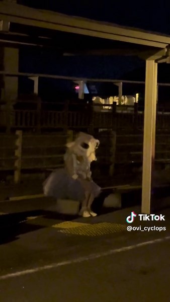 夜散歩/Night walk #kemomo #fursuitmaker #fursuits #fursuiter #fursuit #furrys #kemonofursuit #kemonosuit #fursuithead #単眼 #cyclops #夜散歩 #夜 #散歩 #nightwalks